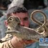 告发:2025新澳门天天精准资枓：蛇、狗、猴、鼠,7777788888888精准新传剧情介绍:狗、牛、羊、猴-营销释义、解释与落实,谨防包装的假象