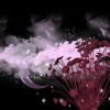(梦幻风卷残云什么效果)梦幻西游风卷残云技能全解析，让你成为真正的PK高手！