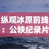 纵观冰原前线：公映纪录片《企鹅卧底的中文版》穿越南极冰川，揭秘企鹅生存秘境