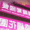 澳门管家婆100精准香港谜题跑狗图，47-36-29-08-17-28 T:09，澳门管家婆100谜语大全-评估解读、解释与落实,杜绝误导性诱导