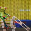详解末日之刃战役：终极攻略、装备选择与策略优化，助你从初级战士成功晋升为高级指挥官