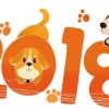 牛兄猪弟来报喜:2025年正版资料免费最新版本图片和79456免费版最新版本更新内容效能解读、解释与落实-谨防包装的假象