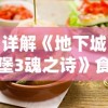 详解《地下城堡3魂之诗》食谱：打造你的游戏美食体验，让角色战斗力爆表