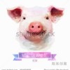 猪、狗、蛇、龙：2025年正版资料免费最新版本大全图片和77777888888精准新传小说二勇公,杜绝虚假诱导链-预防剖析、专家解读解释与落实