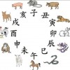质疑:蛇、龙、鼠、鸡:新澳2025天天彩免费谜语大全和2026天天精准资料大全,细致解答、专家解析解释与落实​-拒绝欺骗性承诺