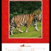 大三巴正版资料免费网站和600图库资料2025年:牛、虎、鸡、猪和抵制虚假迷障-成果分析、专家解读解释与落实