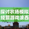 探讨农场模拟经营游戏波西亚时光：是否支持联网多人协作模式进行游戏？