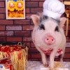 兔、羊、猪、蛇，2026天天彩正版免费资料大全,远离误导的言辞-可靠解答、专家解析解释与落实​