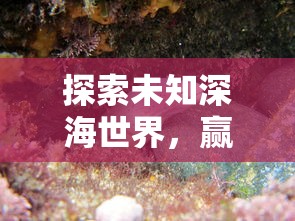 探索未知深海世界，赢取惊喜奖励：体验《海底寻宝大作战红包版》的刺激与乐趣