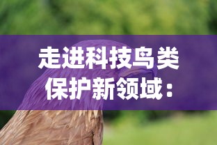 走进科技鸟类保护新领域：揭秘‘丹青寻鹤’App的发展历程与现今情况