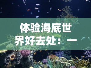 详细解读：如何在百变大侦探游戏中创建房间，开启你的线上推理之旅