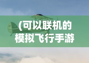 (可以联机的模拟飞行手游)针对航空爱好者：详细解析schiphalast模拟飞行游戏如何实现联机对战