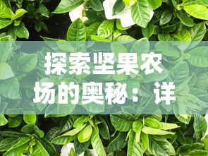 无双割草末日：揭秘人与自然之间的微妙关系，展现屠龙英雄在荒芜世界中的心路历程