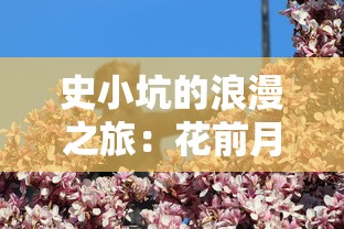 史小坑的浪漫之旅：花前月下，无限钻石璀璨闪耀，梦幻现实夹缝中的恋爱故事