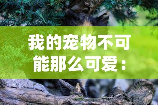 我的宠物不可能那么可爱：深入探究百度网盘分享的萌宠照片评选热潮