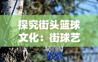 探究街头篮球文化：街球艺术官方网站揭秘全球最劲爆的篮球比赛和独特篮球技巧