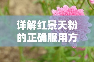 药剂与魔法石究竟哪个更有优势：从战斗力、属性提升和玩家体验三方面进行深入比较