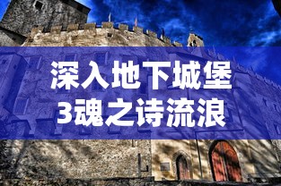 深入地下城堡3魂之诗流浪者之家敲击：玩家角色扮演与解密剧情的终极挑战和冒险体验