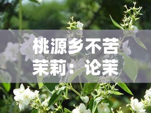 桃源乡不苦茉莉：论茉莉花在桃源乡田园诗化生活氛围中的文化象征及其对乡土情怀的影响