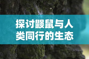 探讨鼹鼠与人类同行的生态平衡：秦家森林之家的保护和自然环境维护