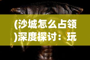 (沙城怎么占领)深度探讨：玩家如何在沙城保卫战中发现并抢夺异火的关键所在