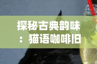 探秘古典韵味：猫语咖啡旧版免费试喝活动，让你回味传统的优质咖啡文化