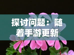 探讨问题：随着手游更新，花开易梦阁是否仍旧受玩家们的欢迎和追捧？