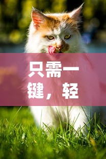 (君临集团总裁)君临集团创始人：致力打造行业霸主的商业巨人