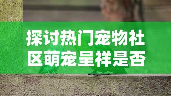 探讨热门宠物社区萌宠呈祥是否进行品牌改名,和新名称可能带来的影响及变化 探讨热门宠物社区萌宠呈祥是否进行品牌改名,和新名称可能带来的影响及变化