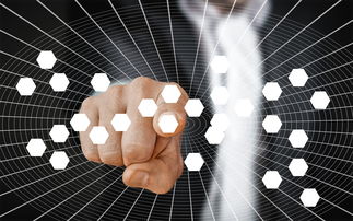 (折相思事件)宅人传说之折相思：一段令人感动的爱情故事