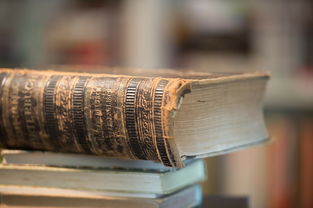 (繁华里不夜城)深入剖析:在繁华不夜城如何选择并经营一份获利丰厚的生意 (繁华里不夜城)深入剖析:在繁华不夜城如何选择并经营一份获利丰厚的生意