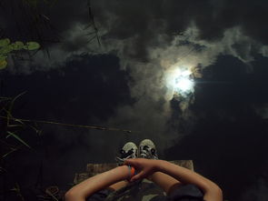 (哪个平台的夜莺模组值得开发和挖掘呢)哪个平台的夜莺模组值得开发和挖掘? (哪个平台的夜莺模组值得开发和挖掘呢)哪个平台的夜莺模组值得开发和挖掘?