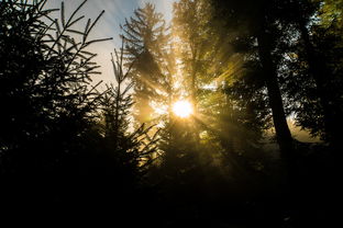 (最后的秘密游戏视频)探索最后的秘密游戏:揭开隐藏在黑暗中的真相和谜团 (最后的秘密游戏视频)探索最后的秘密游戏:揭开隐藏在黑暗中的真相和谜团