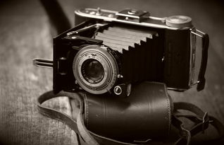 探寻联想电脑型号图片大全:最新款式、配置参数及外观展示完整盘点 探寻联想电脑型号图片大全:最新款式、配置参数及外观展示完整盘点