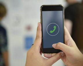 (江湖萌主猫粮怎么样)江湖萌主官网:探寻武侠世界的无尽乐趣和惊喜 (江湖萌主猫粮怎么样)江湖萌主官网:探寻武侠世界的无尽乐趣和惊喜