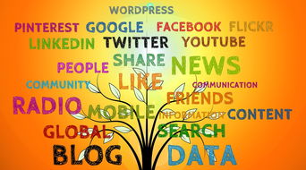 管家婆一码一肖100精确|多方面的支持计划与实施_小型集.4.54