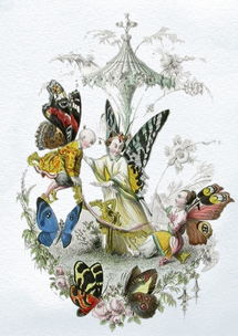 火影忍者究极冲击攻略大全:如何在战场上施展绝对的实力与智谋? 火影忍者究极冲击攻略大全:如何在战场上施展绝对的实力与智谋?