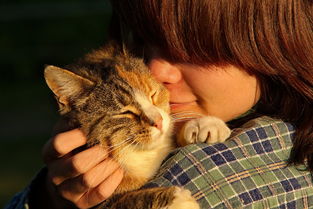 (猫和老鼠的节目)猫和老鼠：那些年我们一起追逐的欢笑与智慧对决