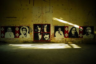 (代号江湖官方网站)代号江湖阵容搭配：探寻最强组合，拳拳到肉，剑剑见血！