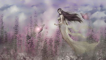 (佚念什么?)探秘佚梦园：这个神秘地方到底意味着什么？