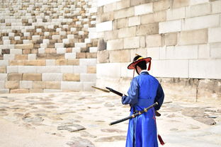 与江湖侠士并肩战斗：《独步武林小游戏》揭示古代武术文化的精神底蕴