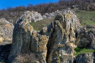 (天下争霸三国志官网)天下争霸三国志h5攻略大全,让你成为最强玩家! (天下争霸三国志官网)天下争霸三国志h5攻略大全,让你成为最强玩家!