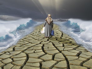 (dota2卡尔教学视频)Dota2卡尔教学: 学会如何掌握这位强力法师的技能和战术 (dota2卡尔教学视频)Dota2卡尔教学: 学会如何掌握这位强力法师的技能和战术