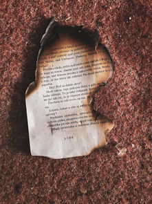 (明日之后网易游戏官网)探索未来荒野,感受生存挑战:明日之后网易官方版全新体验 (明日之后网易游戏官网)探索未来荒野,感受生存挑战:明日之后网易官方版全新体验