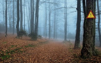 次神光之觉醒地牢大闯关:挑战无尽深渊,探寻隐藏秘密,迎战万千敌手 次神光之觉醒地牢大闯关:挑战无尽深渊,探寻隐藏秘密,迎战万千敌手