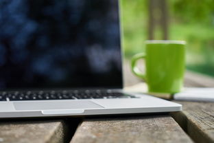 深入分析：蜀境传说中哪个宠物实力最强，效果如何能影响战局走向？