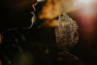 (赛尔号战神联盟百度百科)探秘赛尔计划:战神联盟小说全面揭秘 (赛尔号战神联盟百度百科)探秘赛尔计划:战神联盟小说全面揭秘