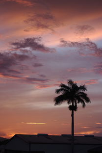 (百鬼夜行生人回避是什么歌)陈述“百鬼夜行生人避让”现象下，生人如何避开这些妖魔。