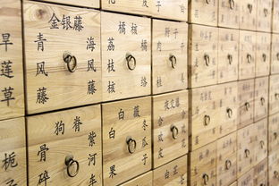 (秦皇汉武是哪个朝代)秦皇汉武是什么意思,他们在中国历史中扮演着什么样的角色? (秦皇汉武是哪个朝代)秦皇汉武是什么意思,他们在中国历史中扮演着什么样的角色?