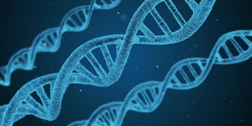 (天空纪元英灵攻略)天空纪元英灵技能搭配：探讨最强技能组合与战术策略的奥秘
